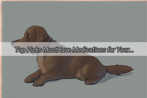 Top Picks MustHave Medications for Your Pawsome Pets Health